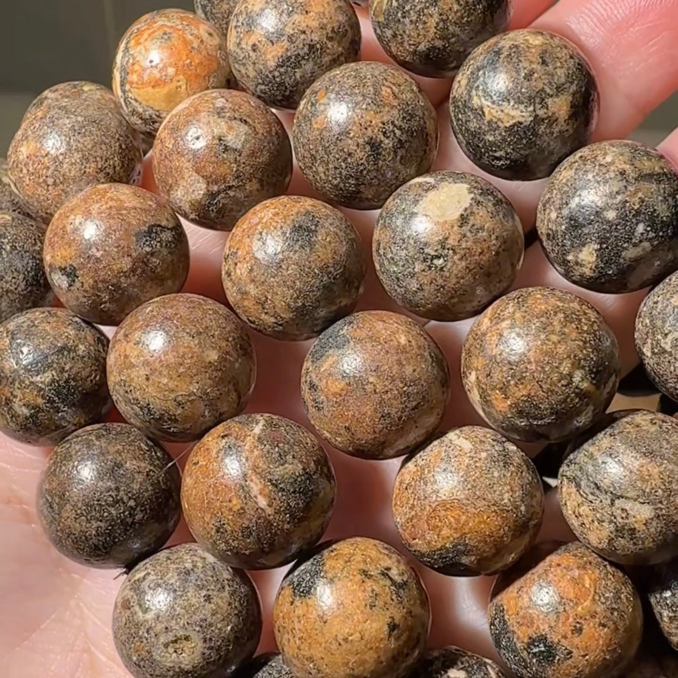 Black Dragon Palace Relics