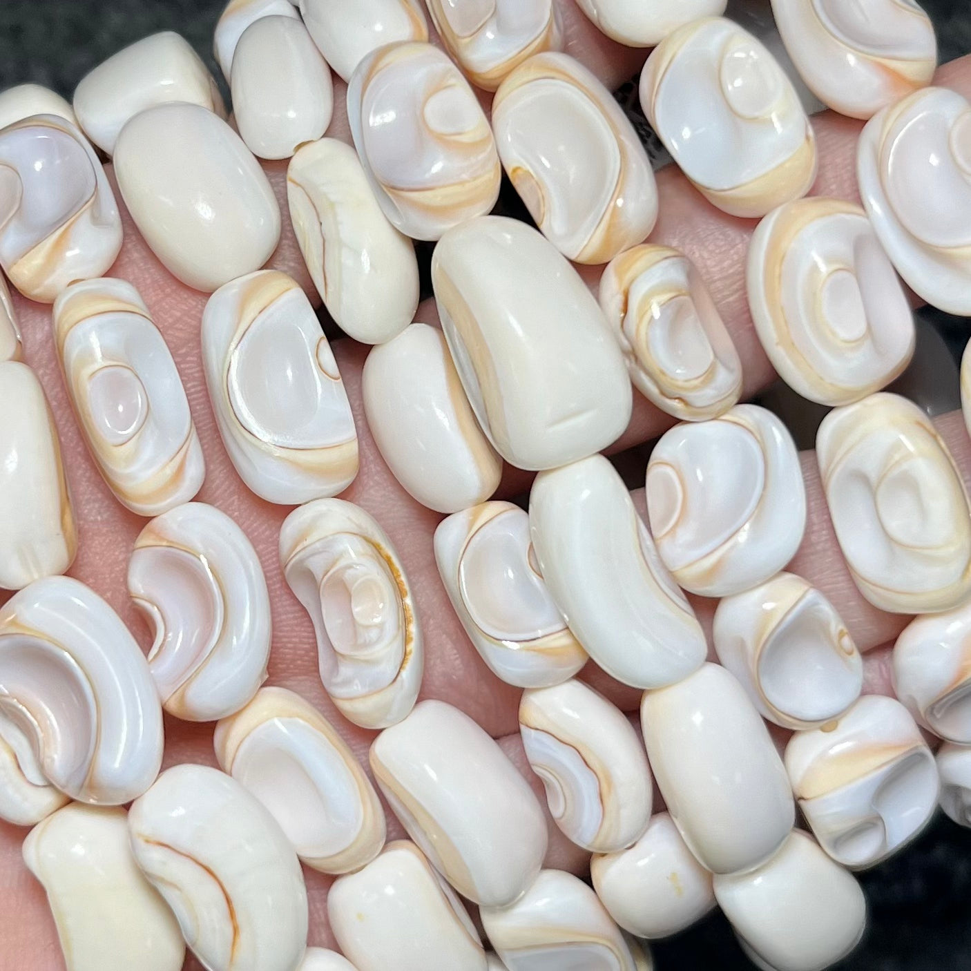 Shell Bracelet