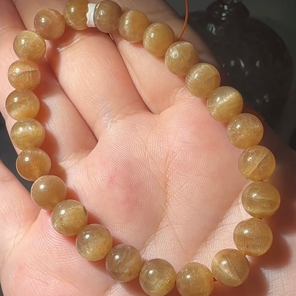 Golden Apitite Bracelet