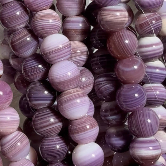 Purple Wampum Shell