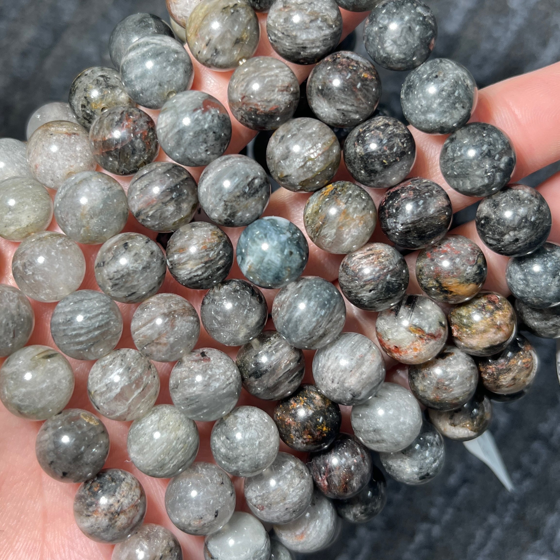 Black Melaleuca Phantom