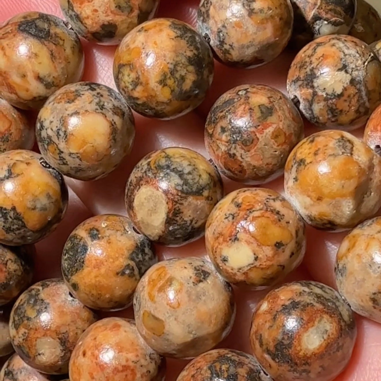 Colorful Dragon Palace Relics