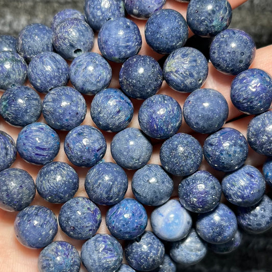 Blue Coral