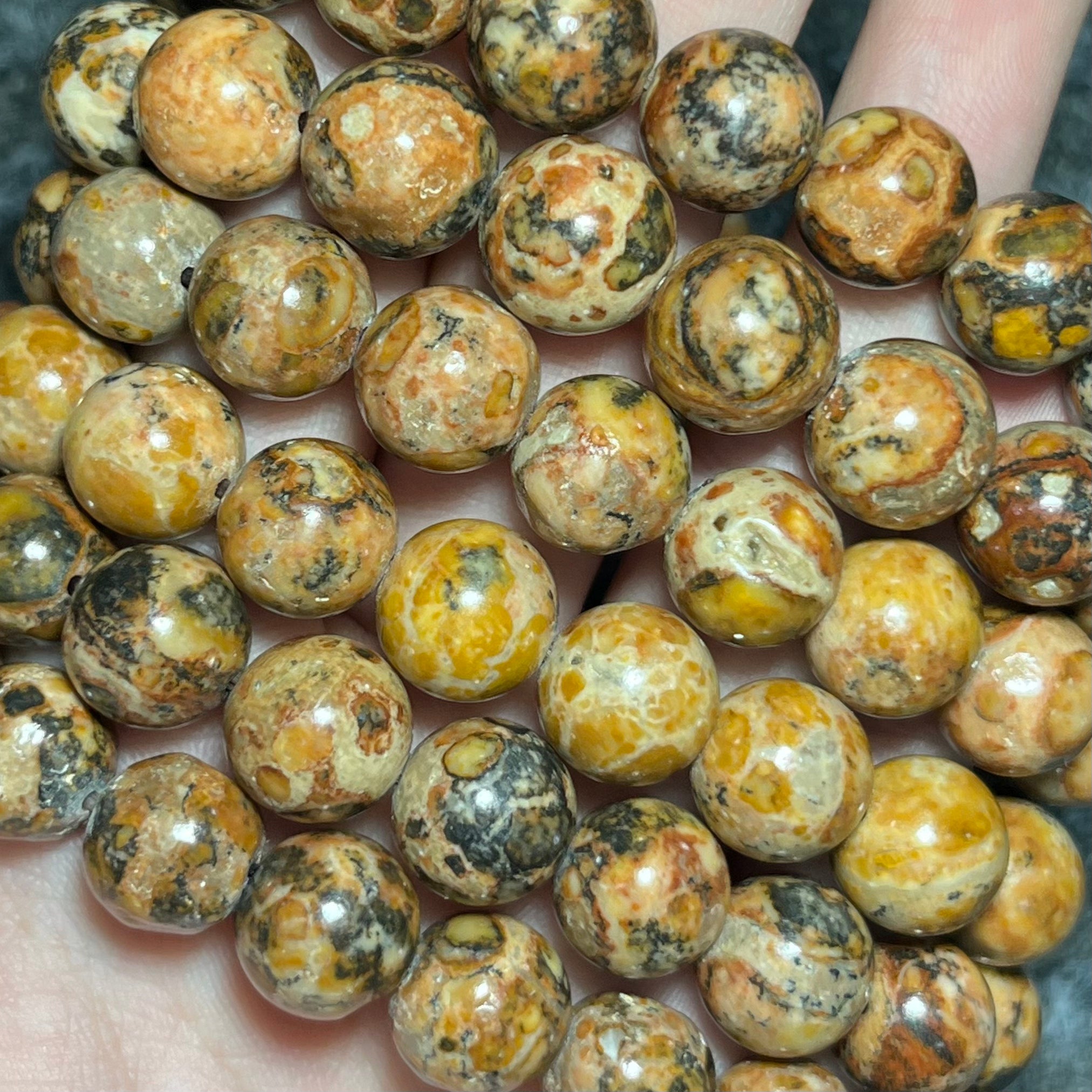 Dragon Palace Relics