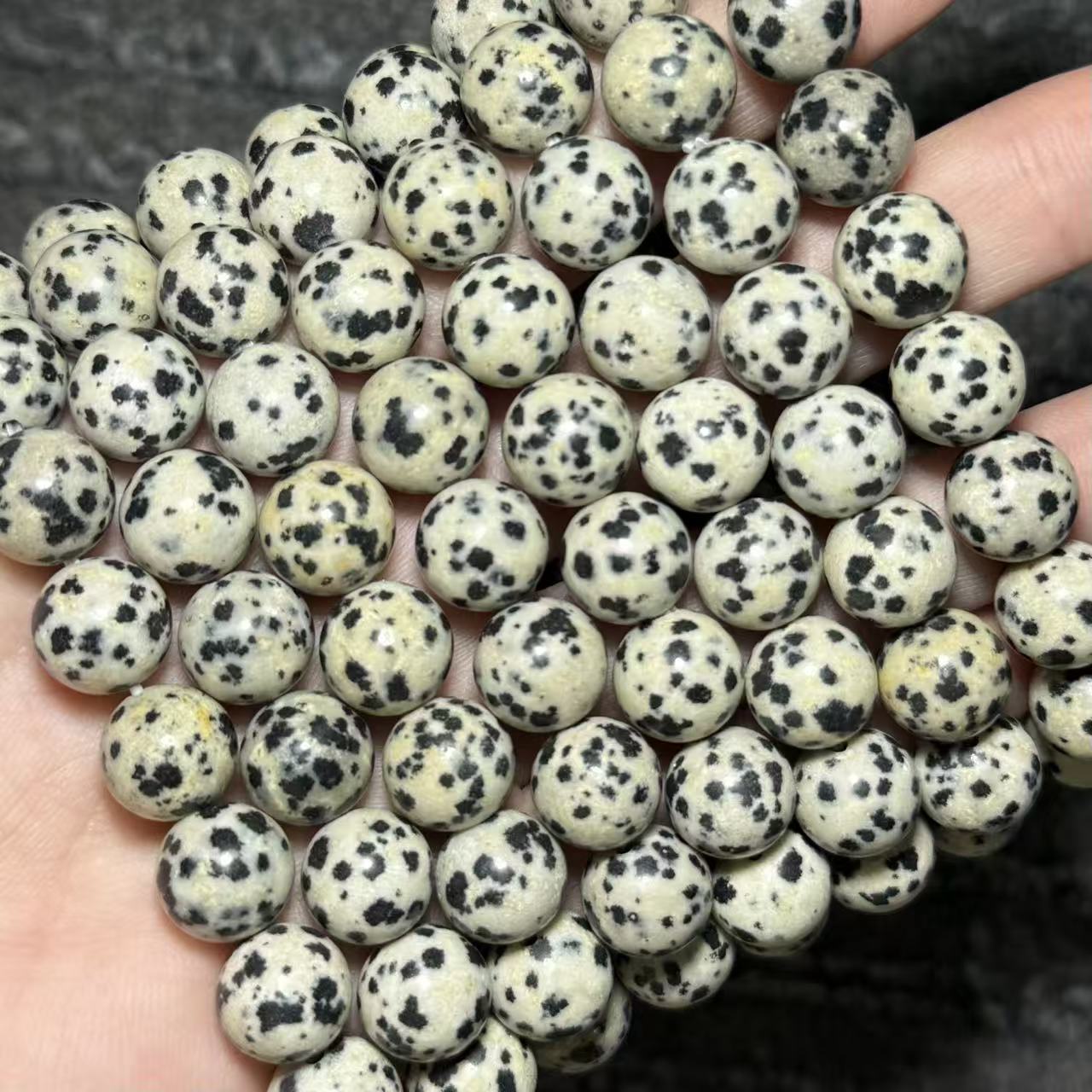 Dalmatian Jasper